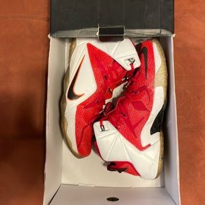 LeBron 12 “Heart of a Lion” Size 10.5